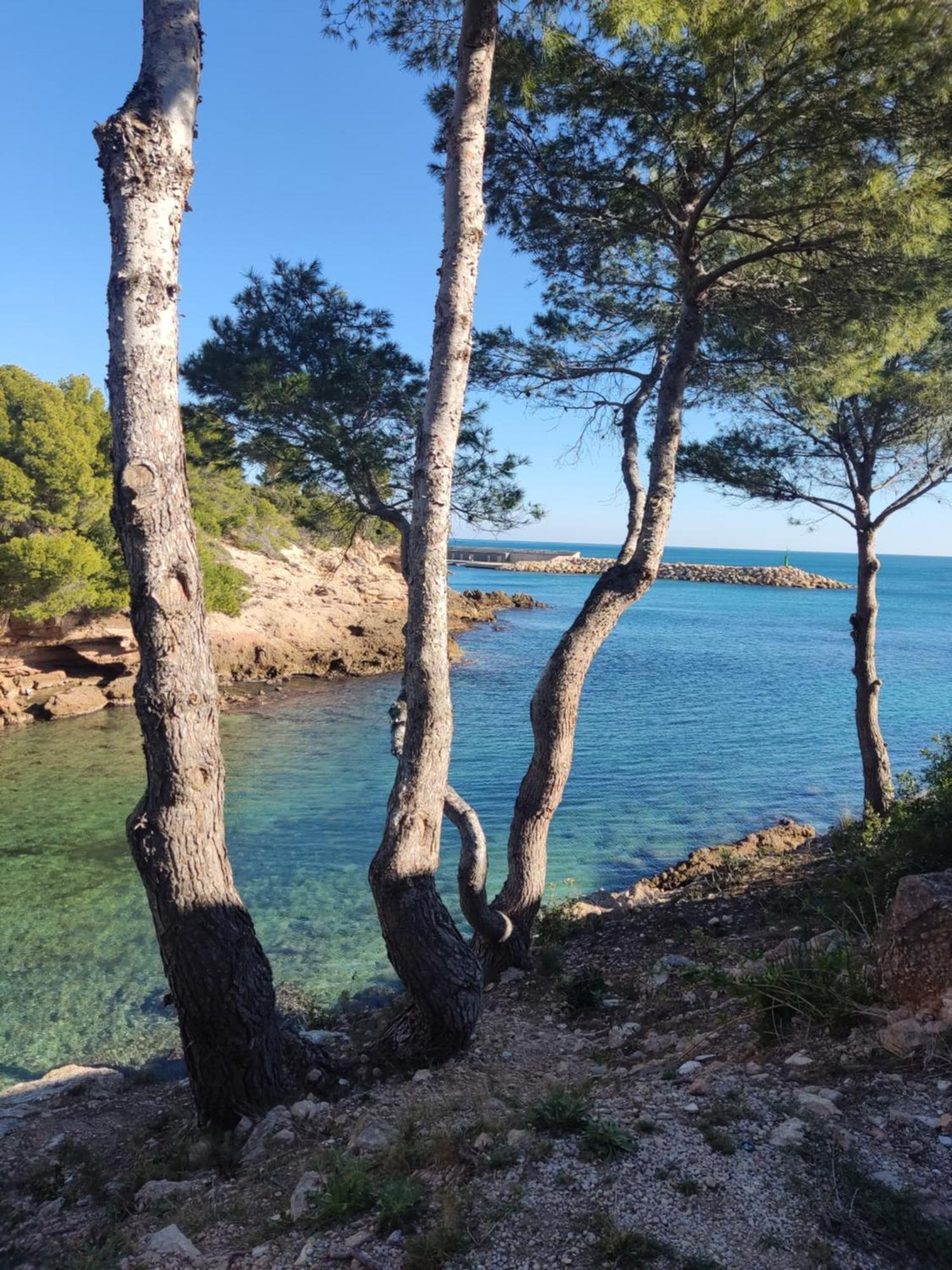 Paraiso En Cala Llobeta Calafat Ngoại thất bức ảnh